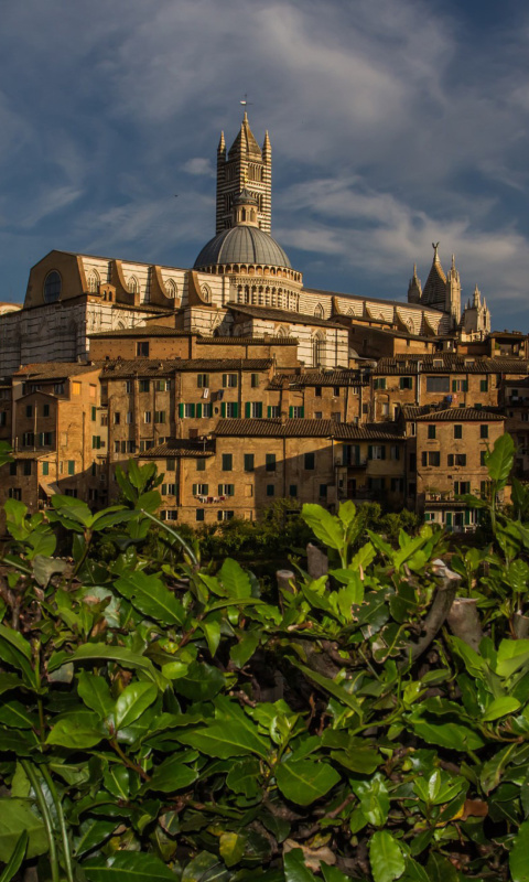Fondo de pantalla Cathedral of Siena 480x800