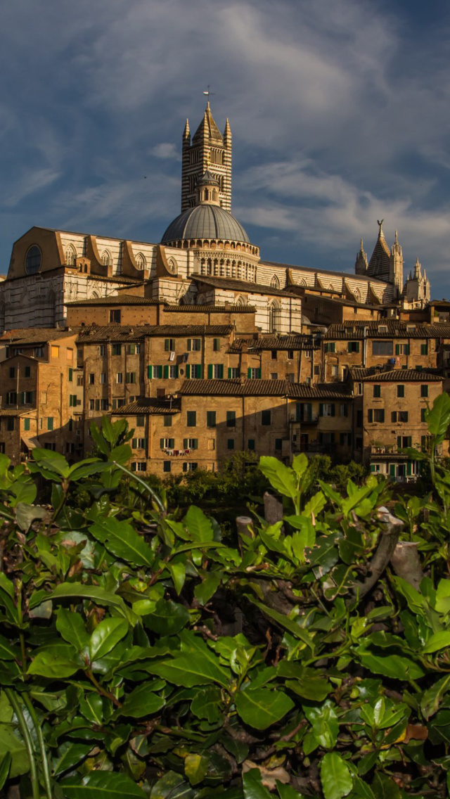 Cathedral of Siena screenshot #1 640x1136