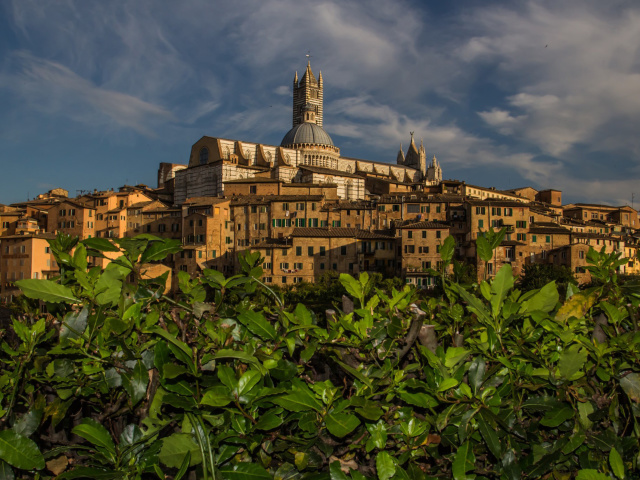 Das Cathedral of Siena Wallpaper 640x480