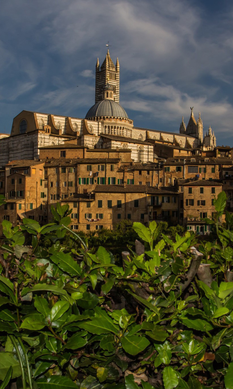 Sfondi Cathedral of Siena 768x1280