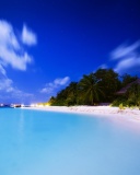 Обои Vilu Reef Beach and Spa Resort, Maldives 128x160