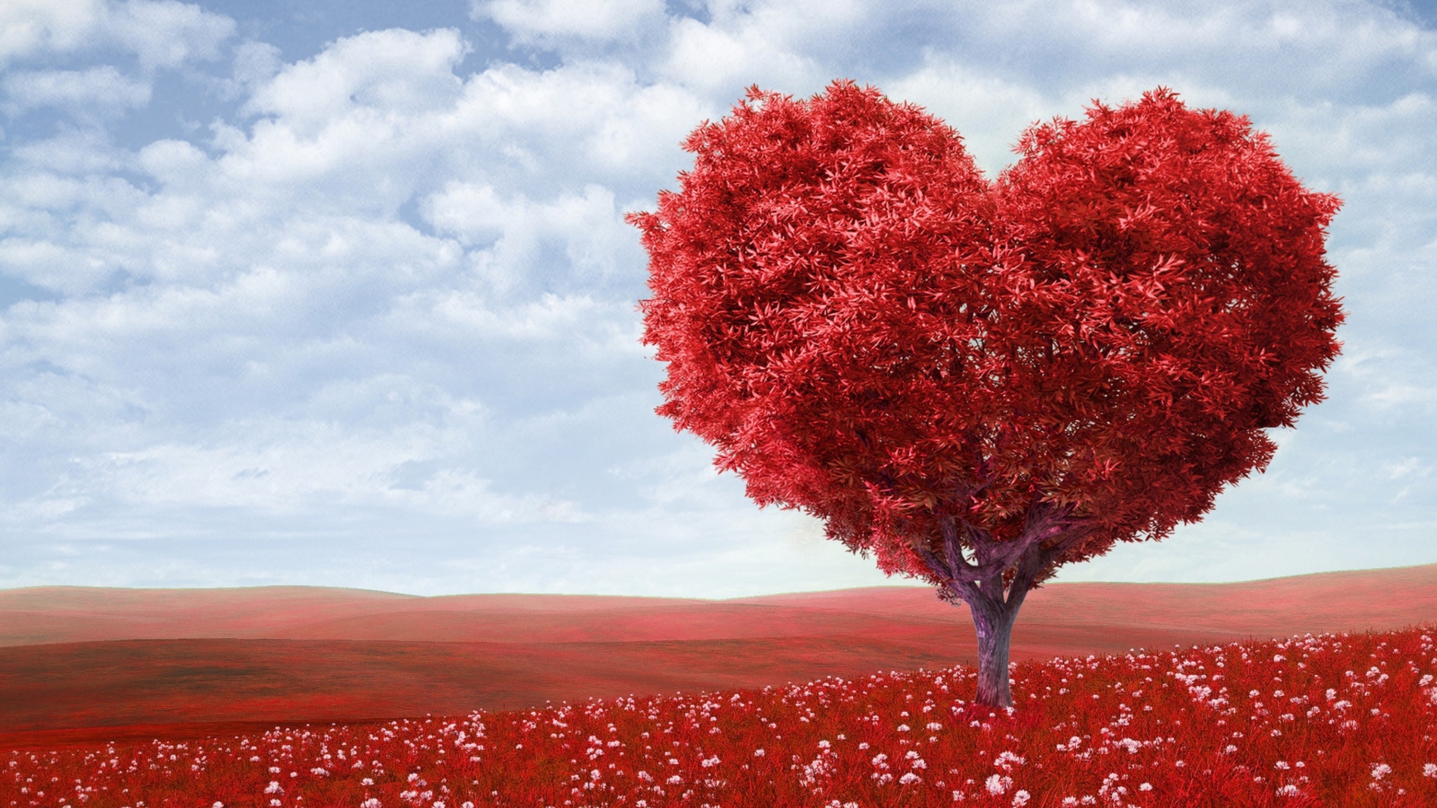 Love Tree wallpaper 1600x900