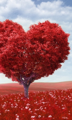 Fondo de pantalla Love Tree 240x400