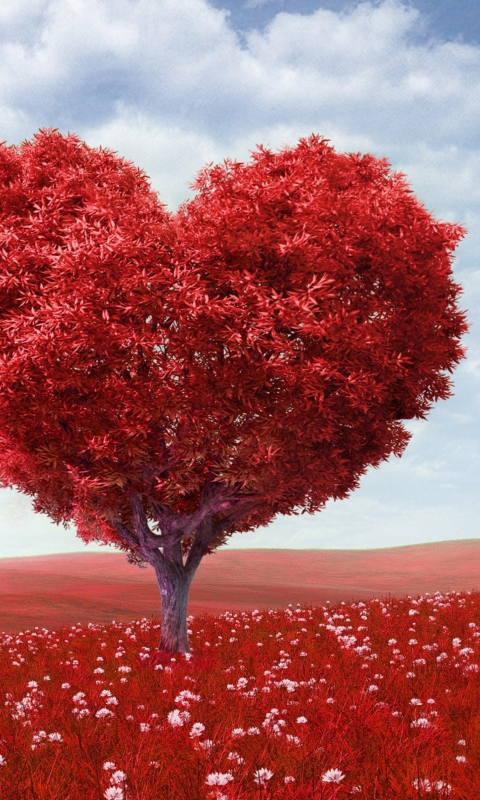Das Love Tree Wallpaper 480x800