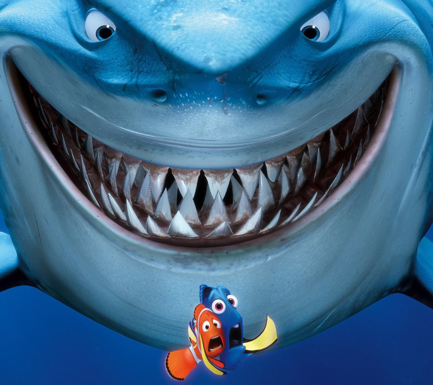 Обои Finding Nemo 1440x1280