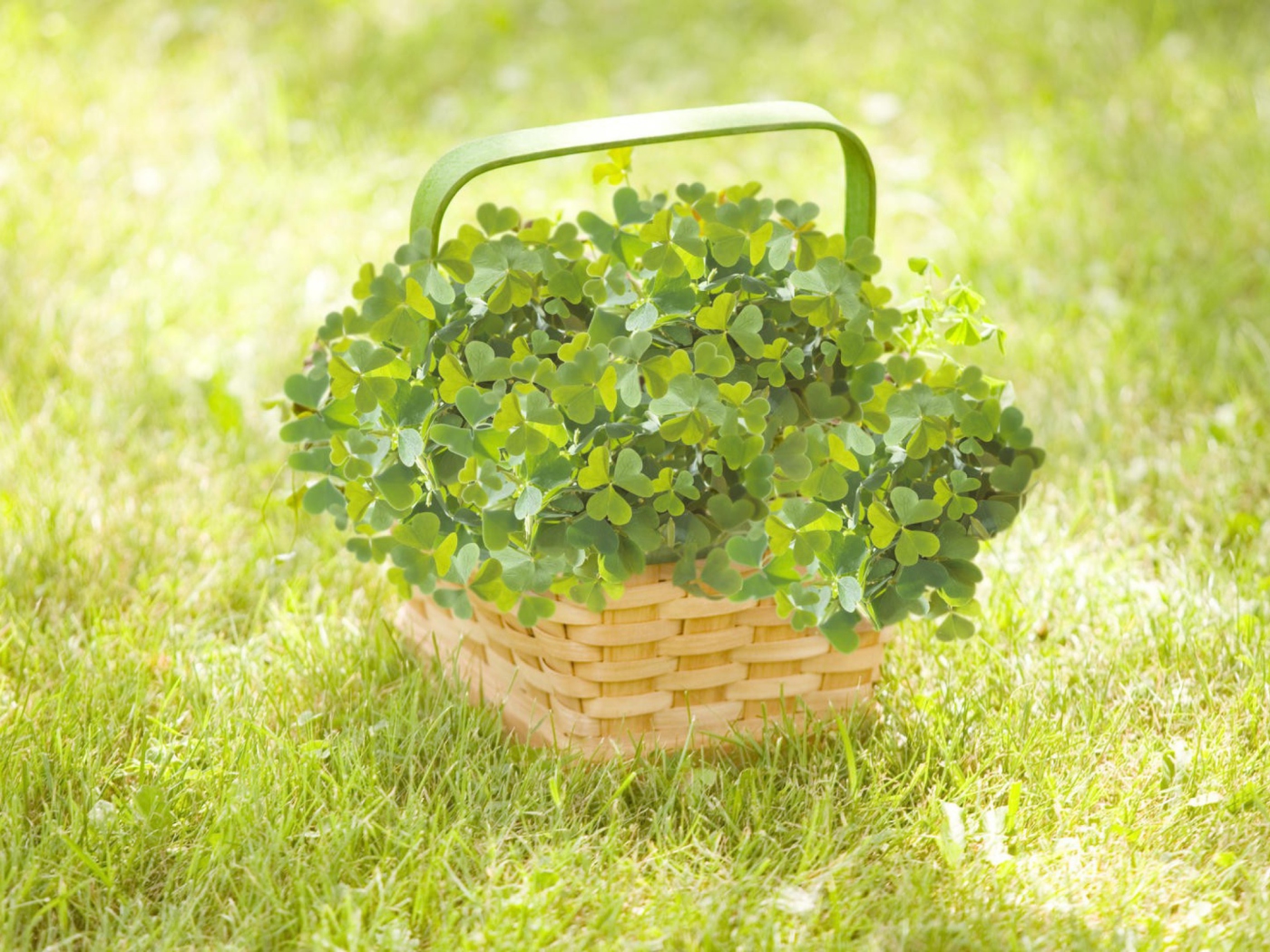 Das Clover Basket Wallpaper 1400x1050