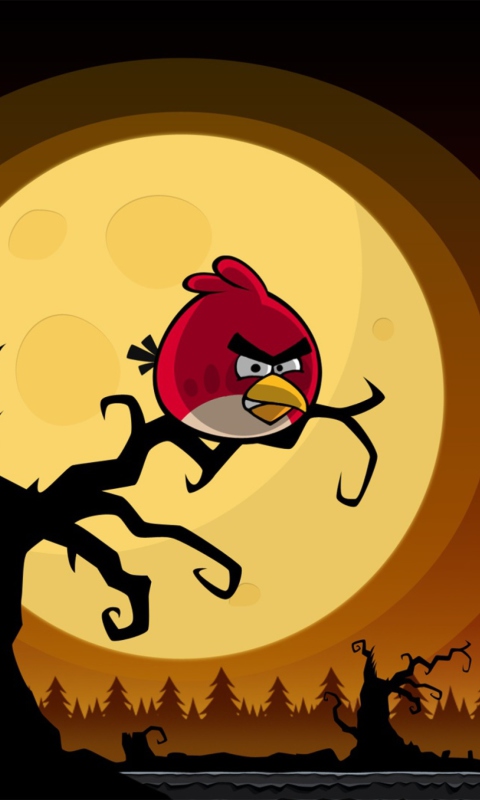 Angry Birds Seasons Halloween wallpaper 480x800