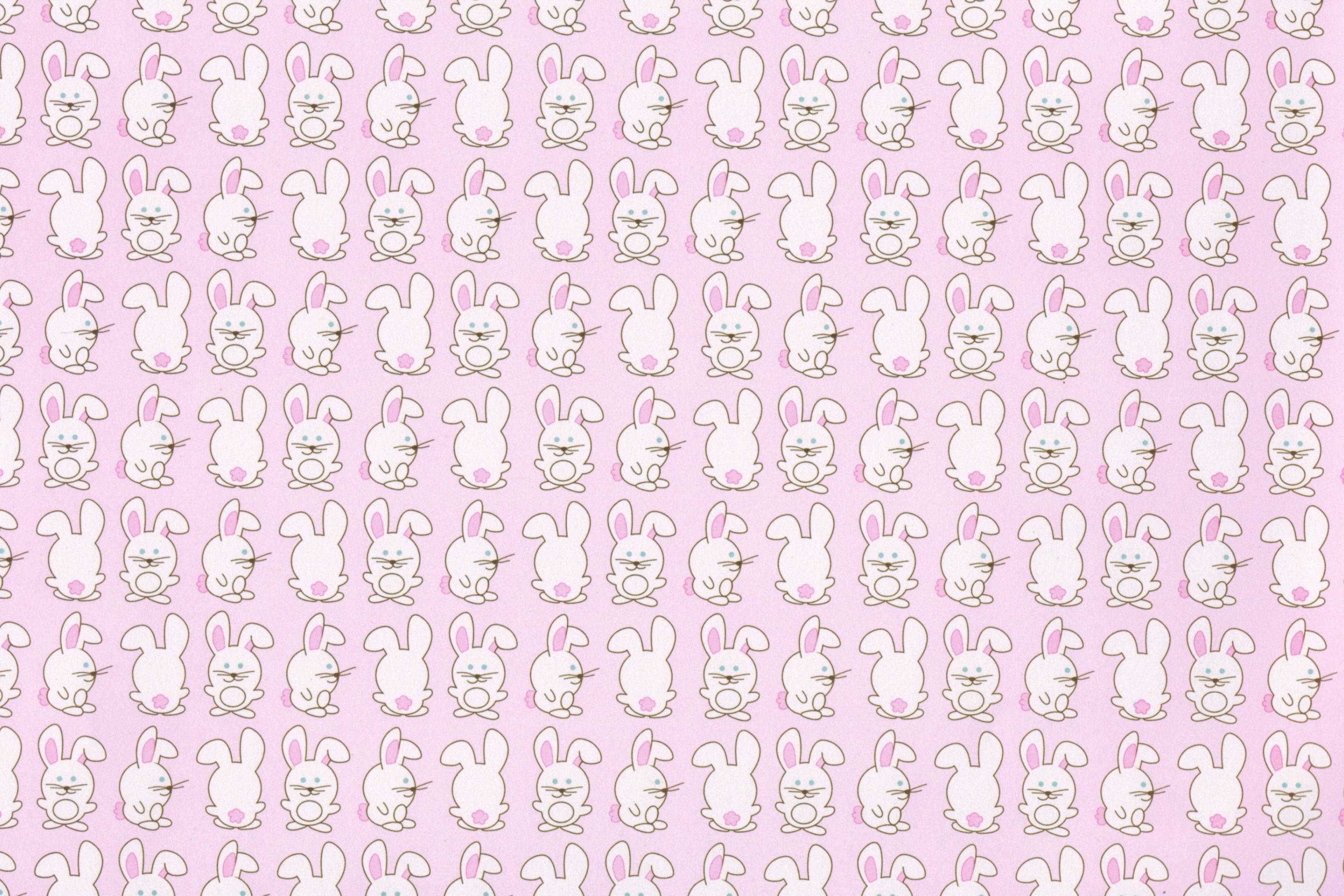 Pink Rabbits wallpaper 2880x1920