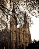 Sfondi Buenos Aires Plata Cathedral 128x160