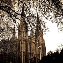 Buenos Aires Plata Cathedral screenshot #1 208x208