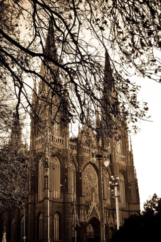 Buenos Aires Plata Cathedral screenshot #1 320x480