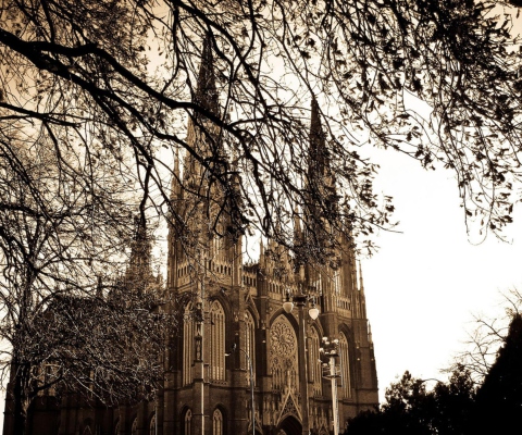 Buenos Aires Plata Cathedral screenshot #1 480x400