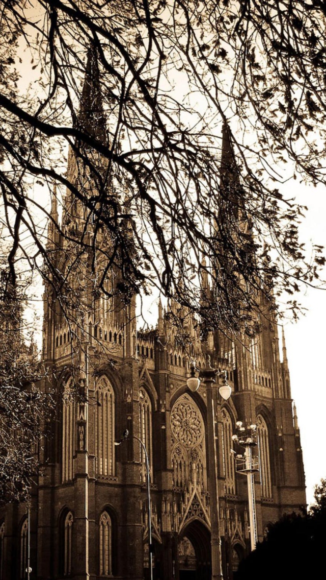 Buenos Aires Plata Cathedral screenshot #1 640x1136