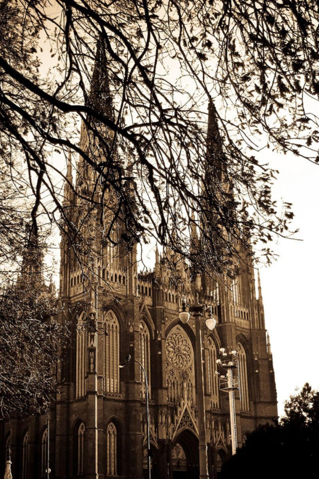 Buenos Aires Plata Cathedral screenshot #1 640x960