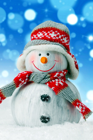 Fondo de pantalla Christmas Snowman Festive Sign 320x480