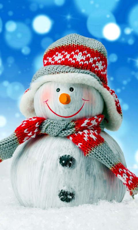 Das Christmas Snowman Festive Sign Wallpaper 480x800