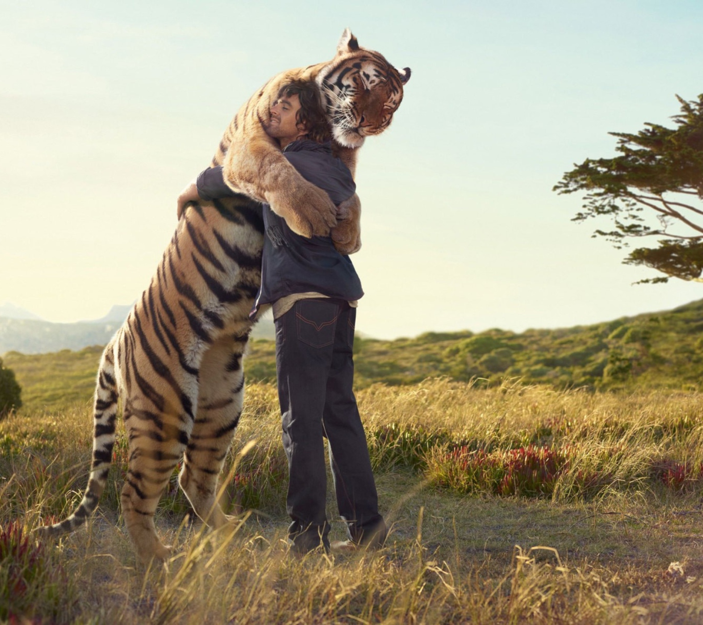 Man And Tiger wallpaper 1440x1280