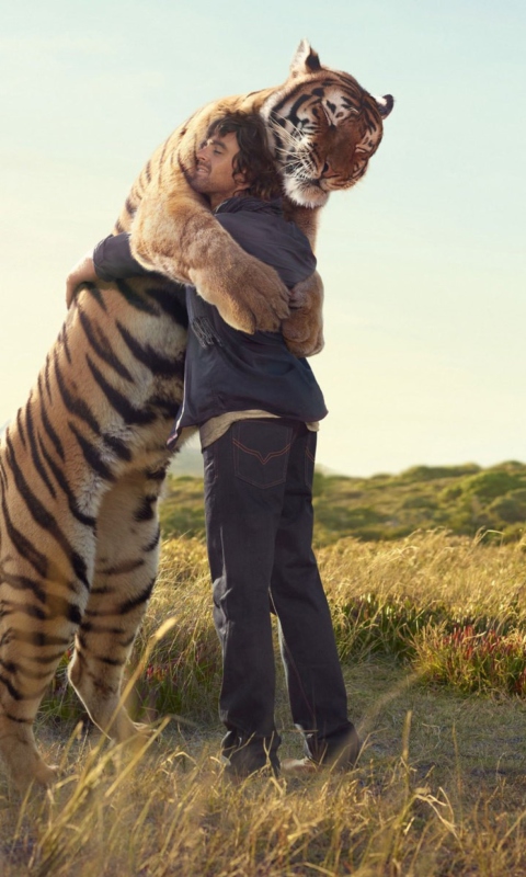 Das Man And Tiger Wallpaper 480x800