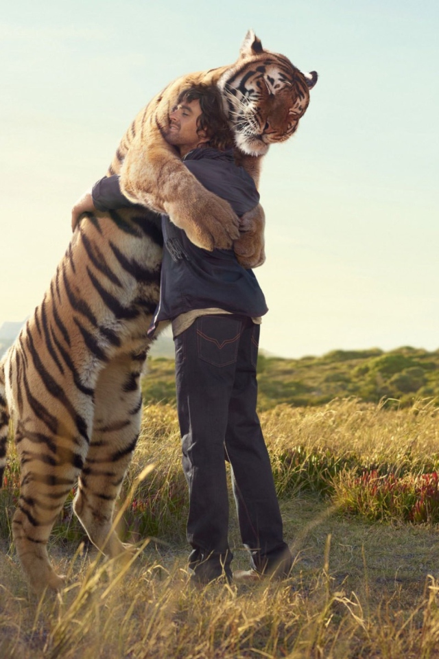 Man And Tiger screenshot #1 640x960