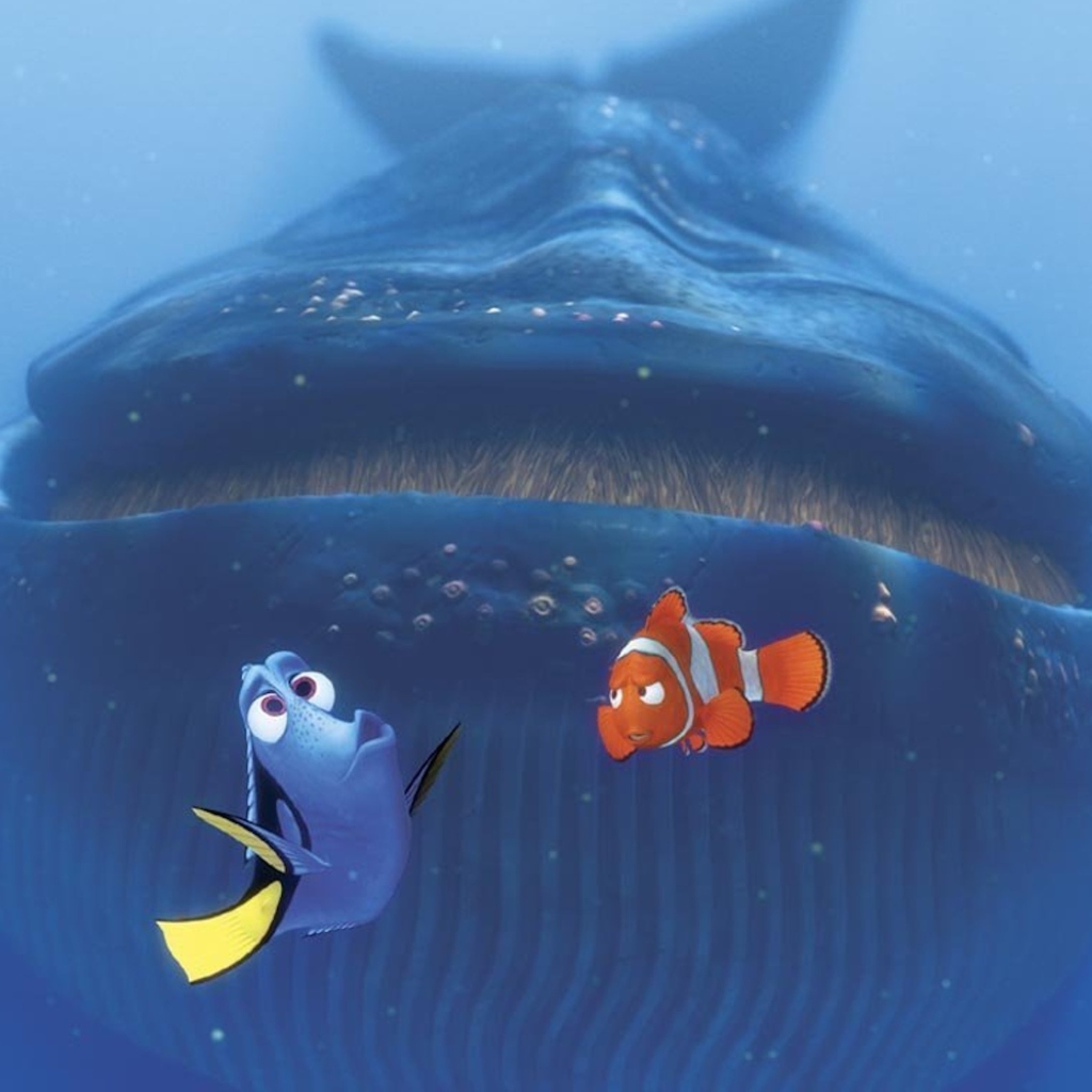 Finding Nemo Whale wallpaper 1024x1024
