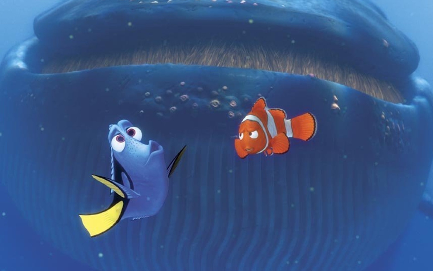 Screenshot №1 pro téma Finding Nemo Whale 1440x900