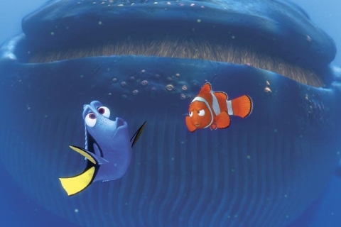 Screenshot №1 pro téma Finding Nemo Whale 480x320