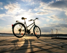 Bicycle At Sunny Day screenshot #1 220x176