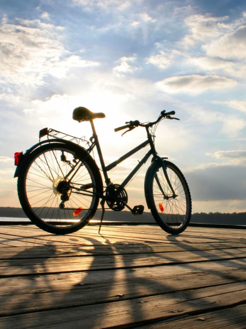 Bicycle At Sunny Day wallpaper 480x640