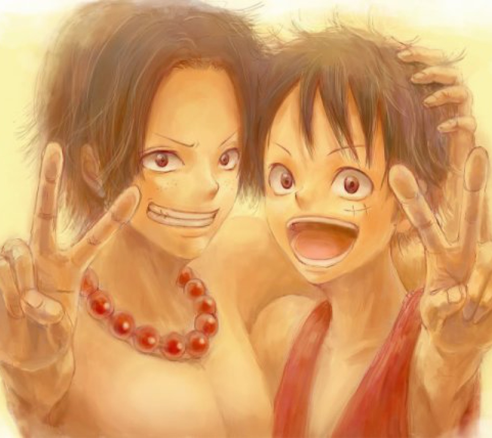 Das One Piece Wallpaper 960x854