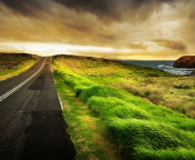 Das Road Side Grass Wallpaper 176x144