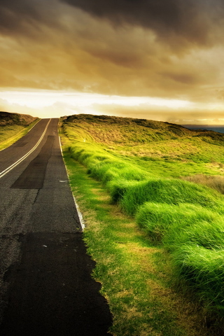 Road Side Grass wallpaper 320x480