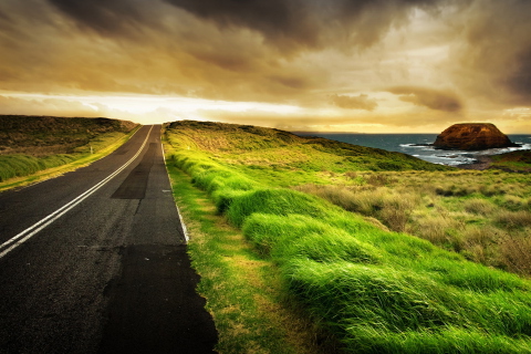 Road Side Grass wallpaper 480x320