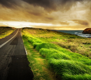 Road Side Grass Wallpaper for iPad 3