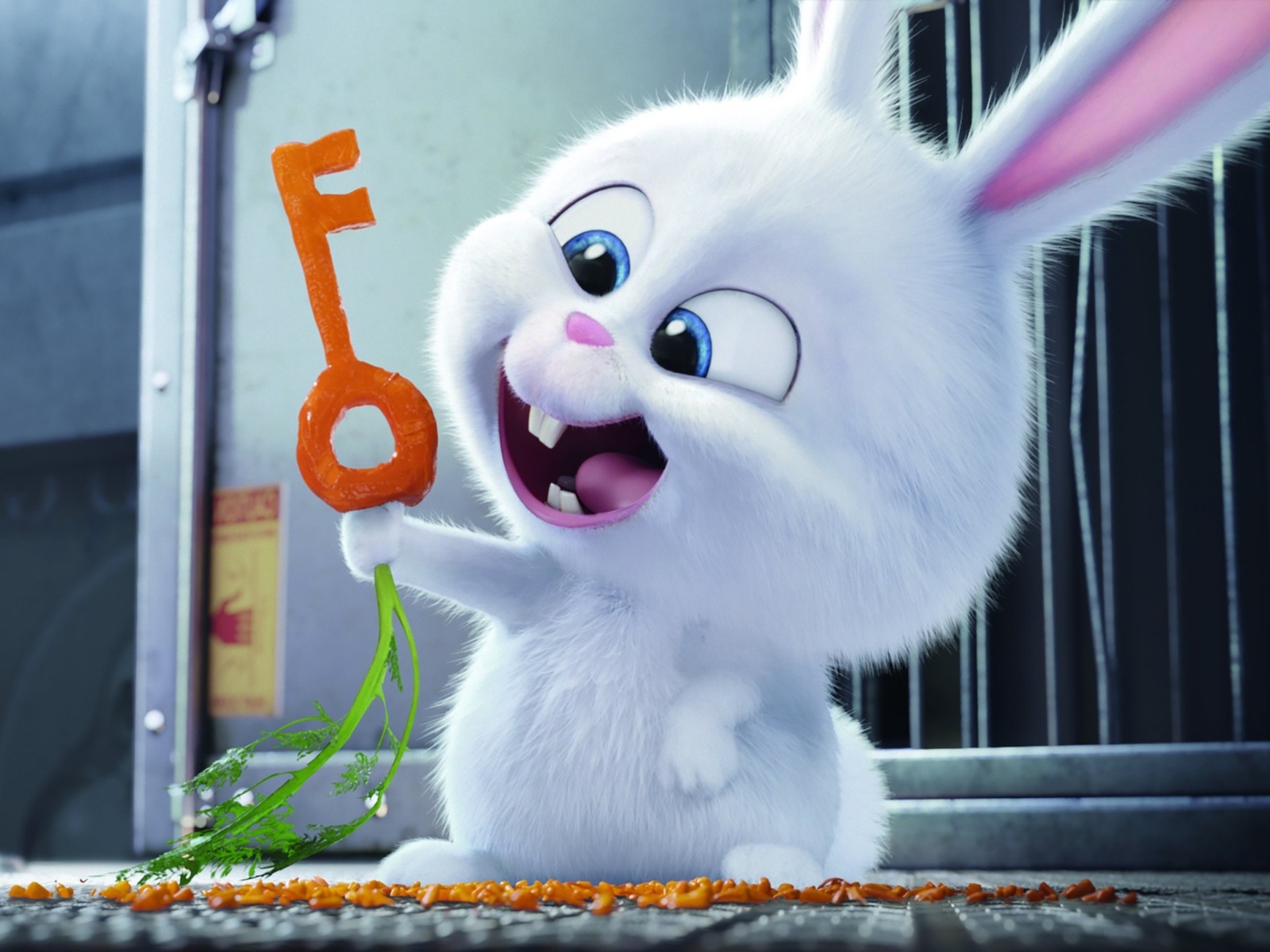 The Secret Life of Pets Bunny wallpaper 1600x1200