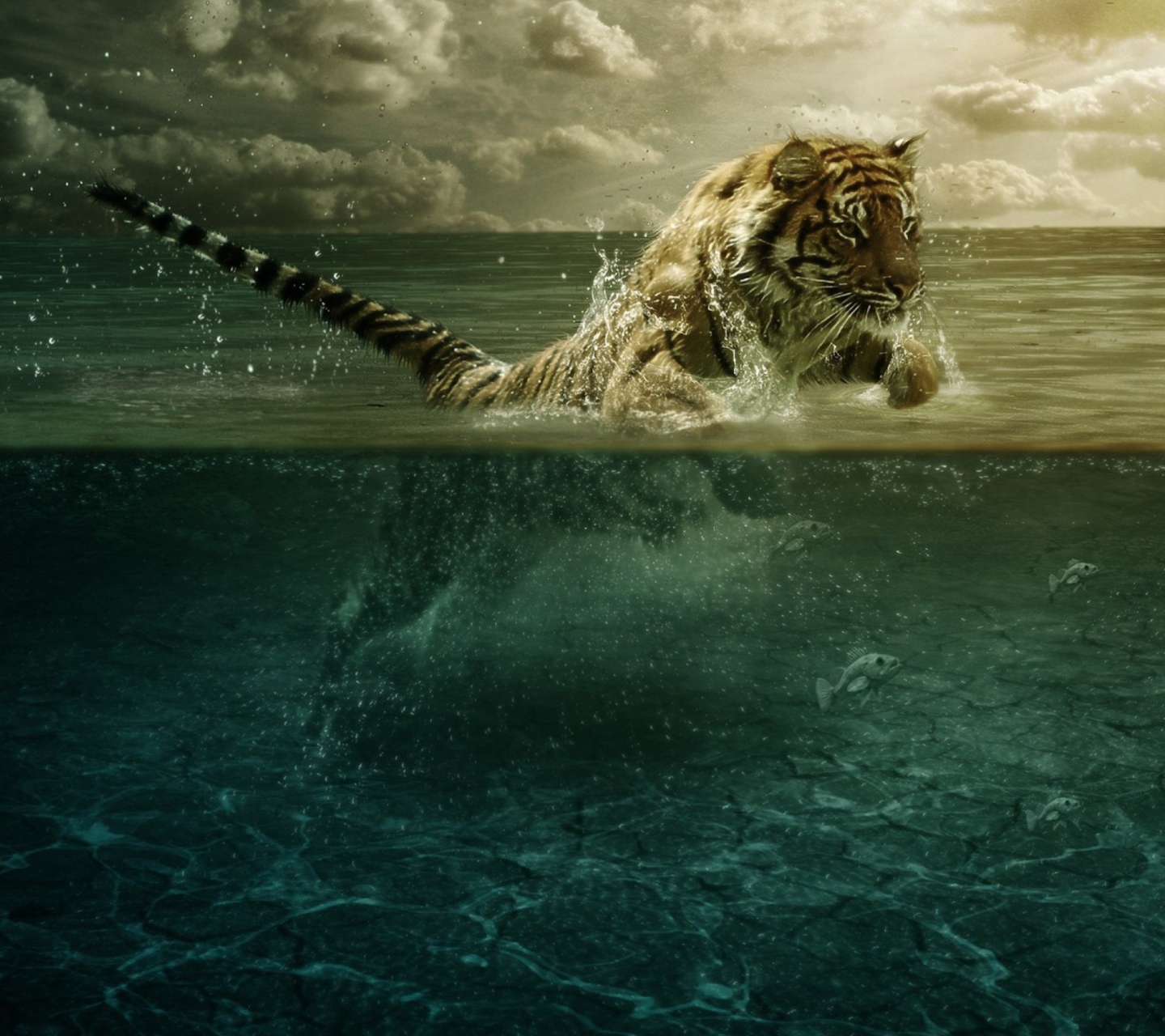 Обои Tiger Jumping In Water 1440x1280