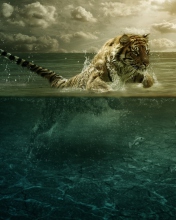 Обои Tiger Jumping In Water 176x220
