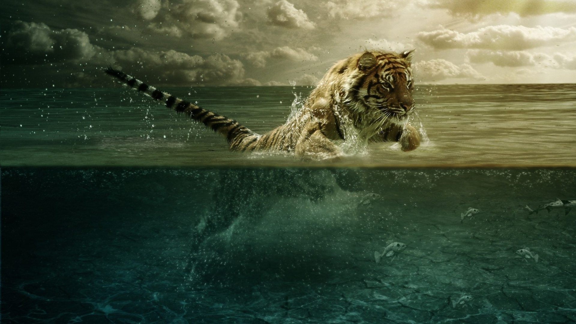 Обои Tiger Jumping In Water 1920x1080