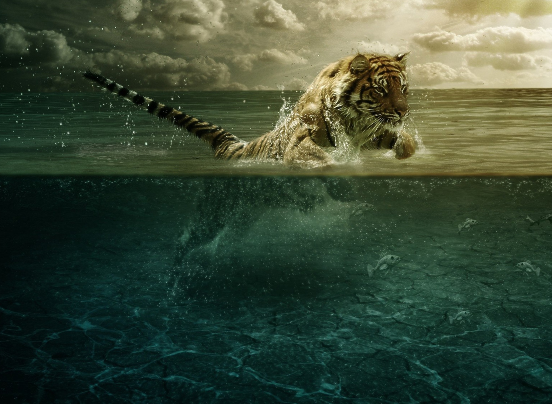 Обои Tiger Jumping In Water 1920x1408