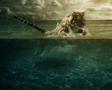 Das Tiger Jumping In Water Wallpaper 220x176