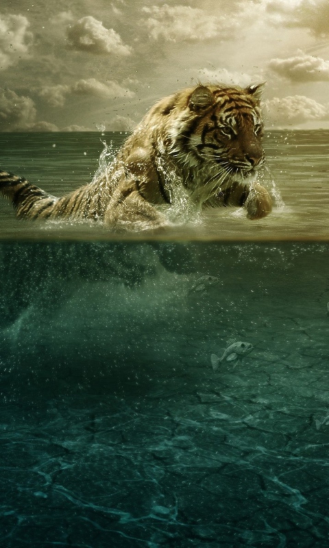 Screenshot №1 pro téma Tiger Jumping In Water 480x800