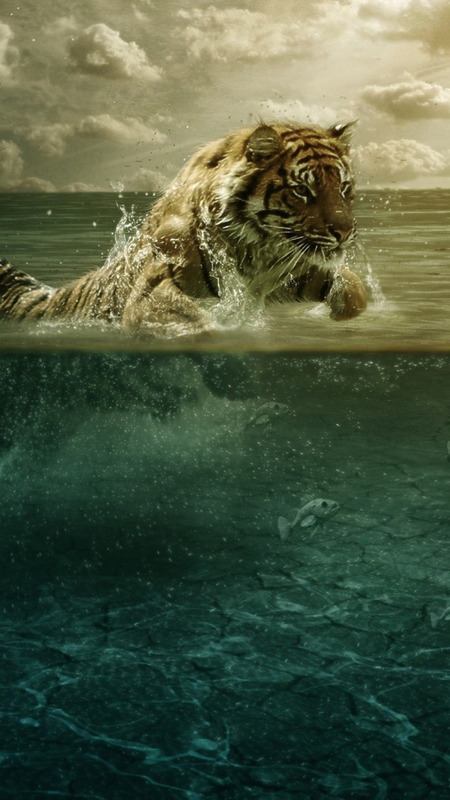 Tiger Jumping In Water wallpaper 640x1136