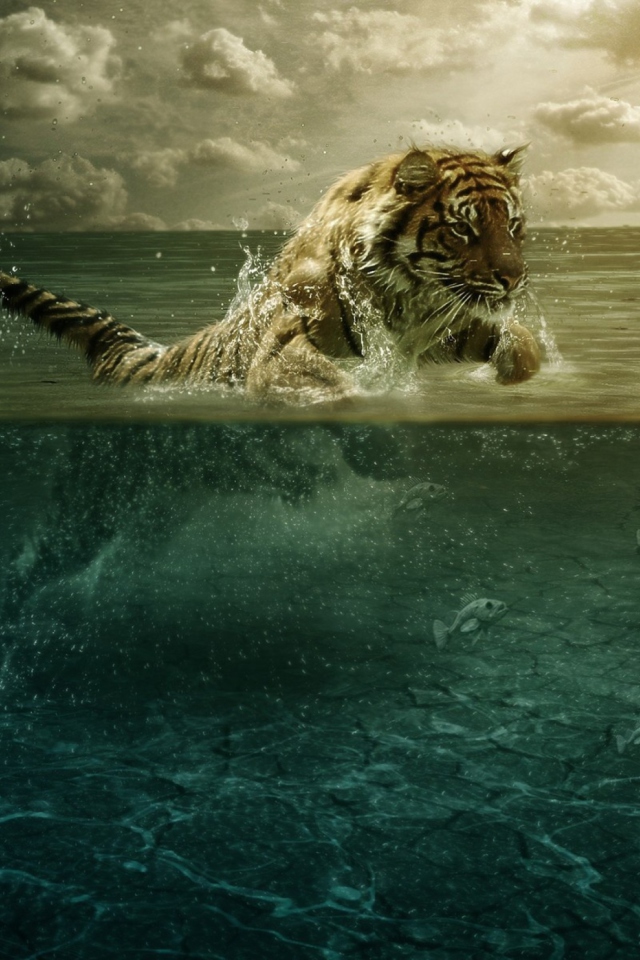 Tiger Jumping In Water screenshot #1 640x960