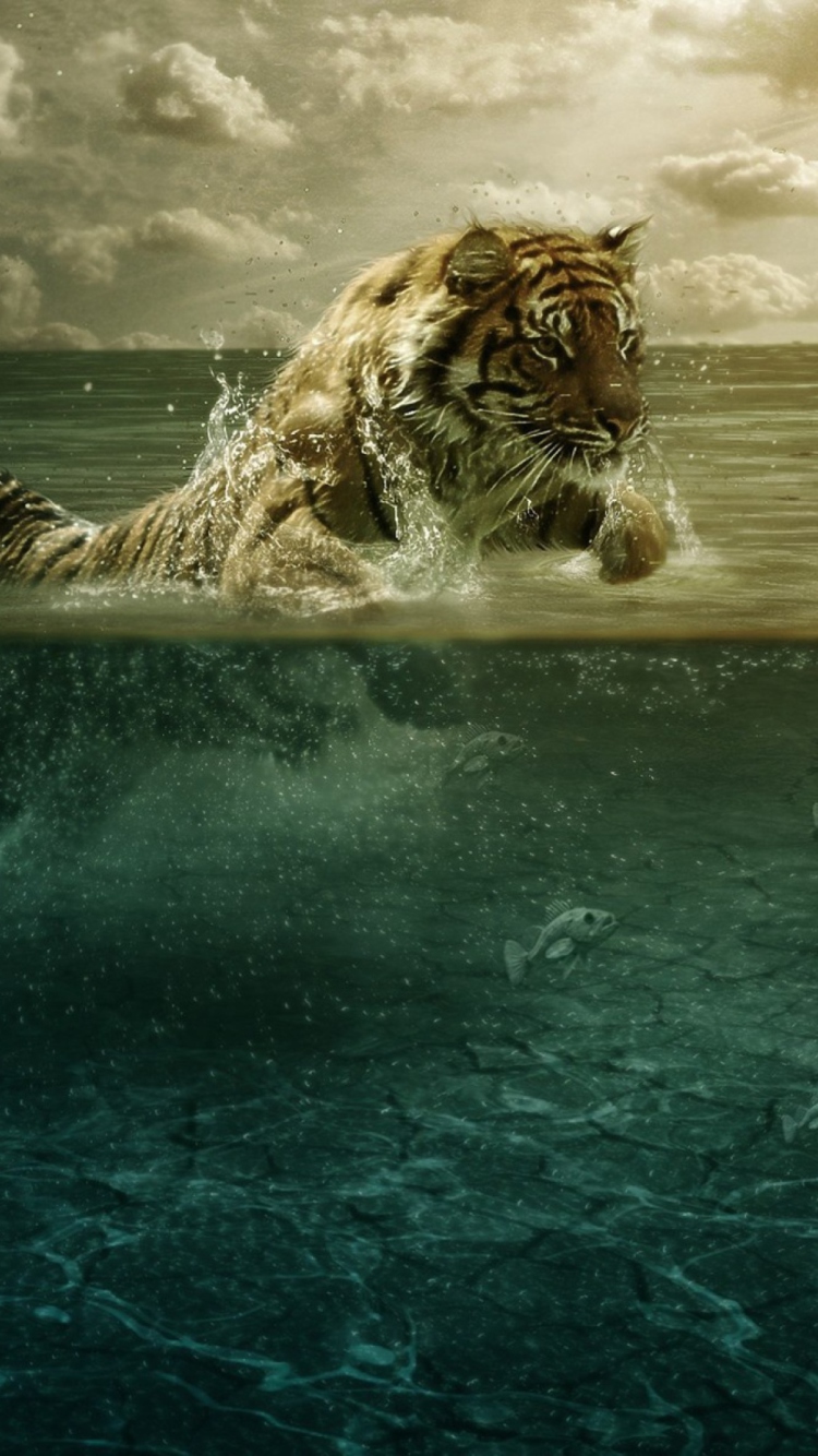 Tiger Jumping In Water wallpaper 750x1334
