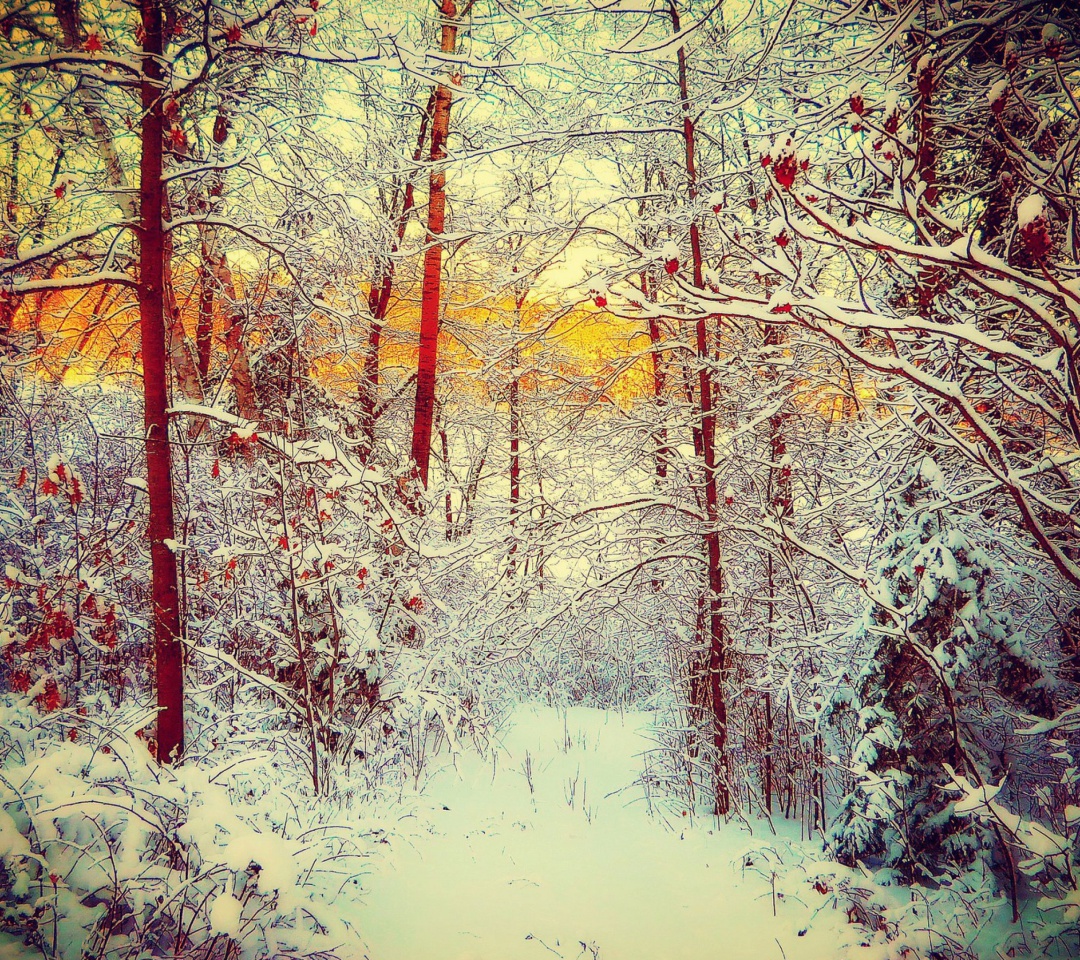 Winter Siberian Forest wallpaper 1080x960