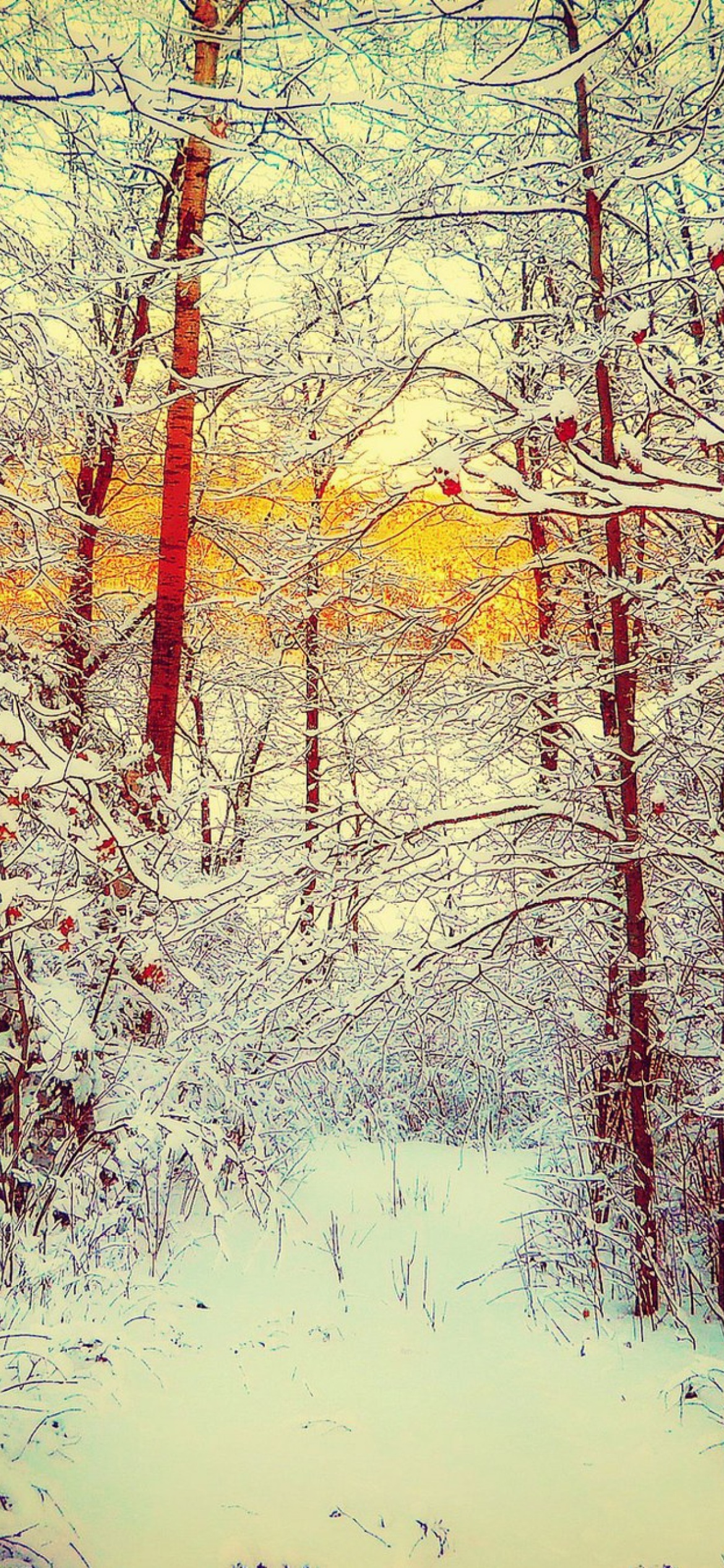 Fondo de pantalla Winter Siberian Forest 1170x2532