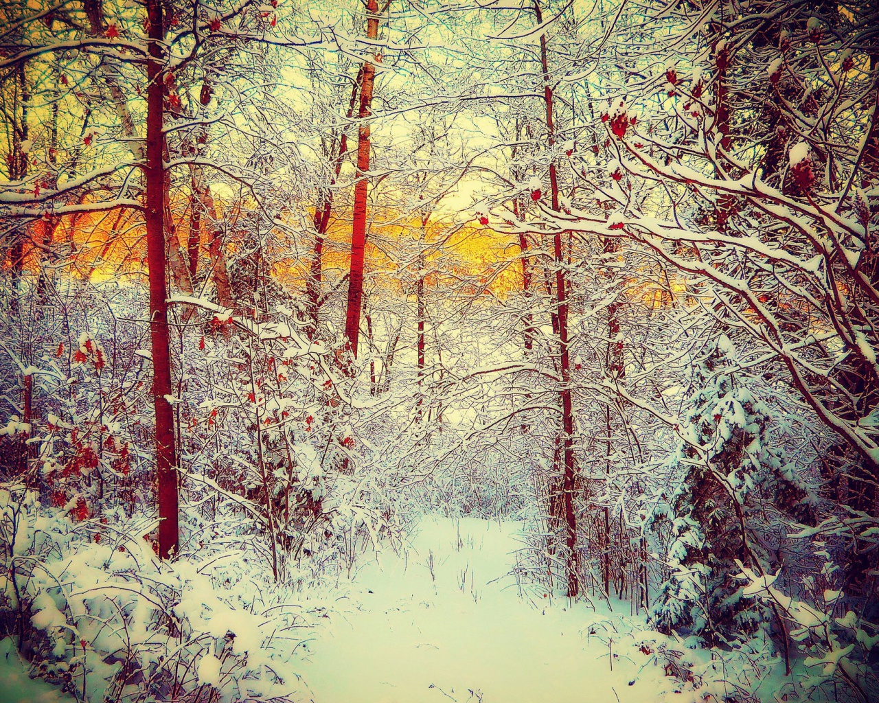 Winter Siberian Forest wallpaper 1280x1024