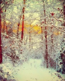 Screenshot №1 pro téma Winter Siberian Forest 128x160