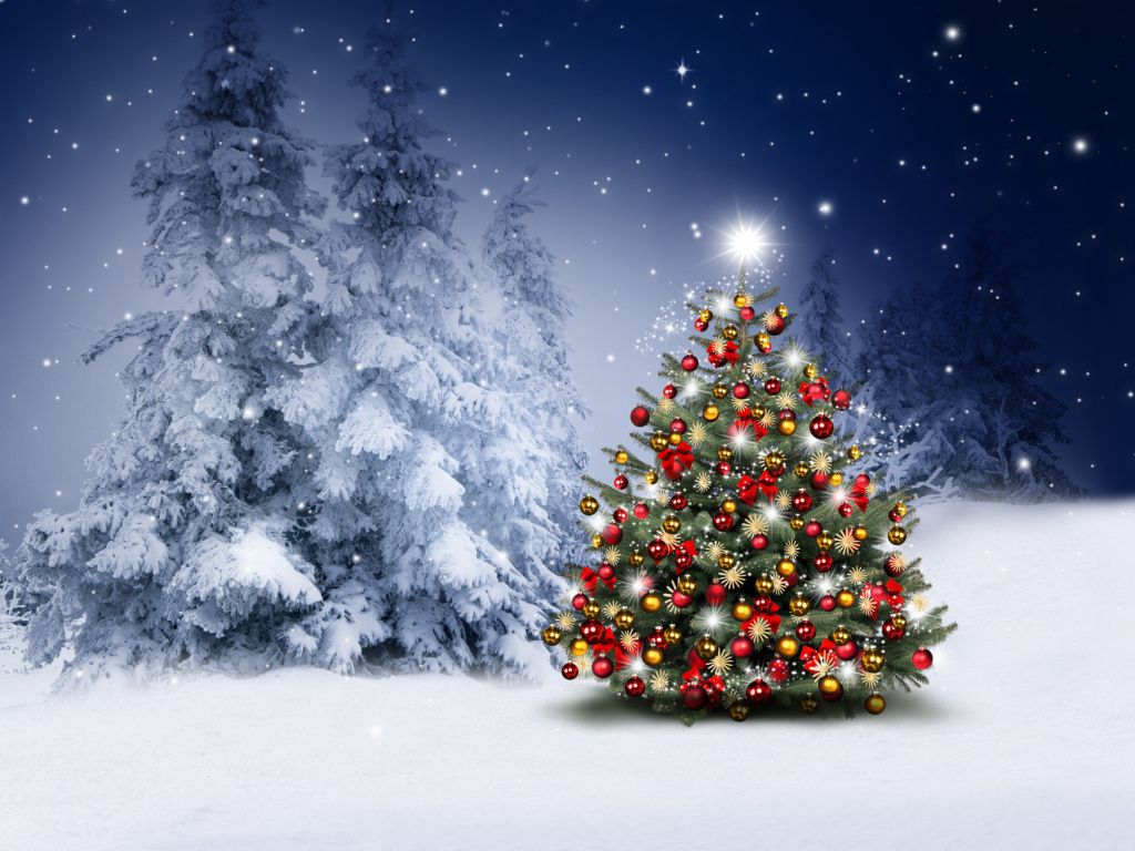 Winter Christmas tree wallpaper 1024x768