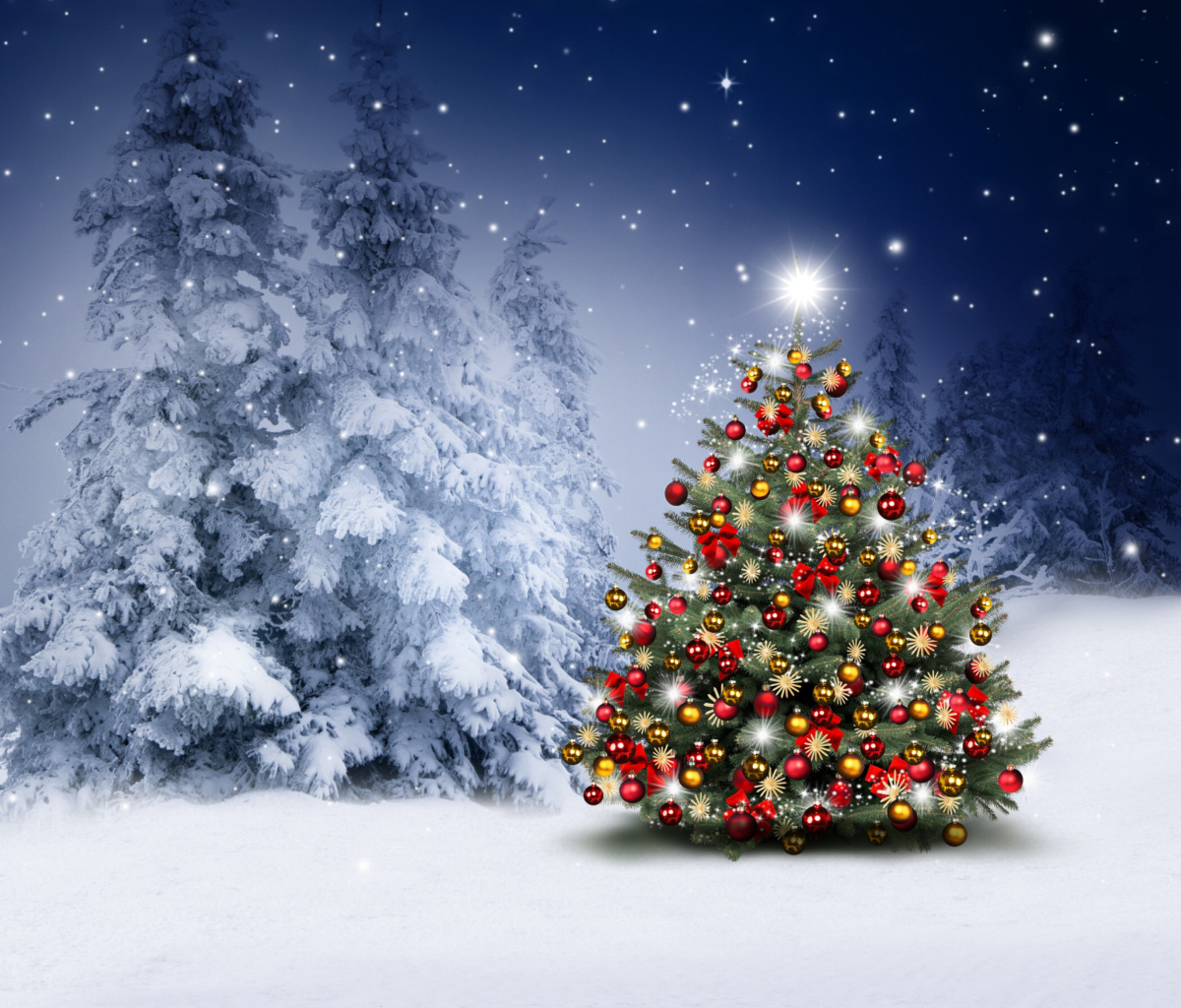 Winter Christmas tree wallpaper 1200x1024