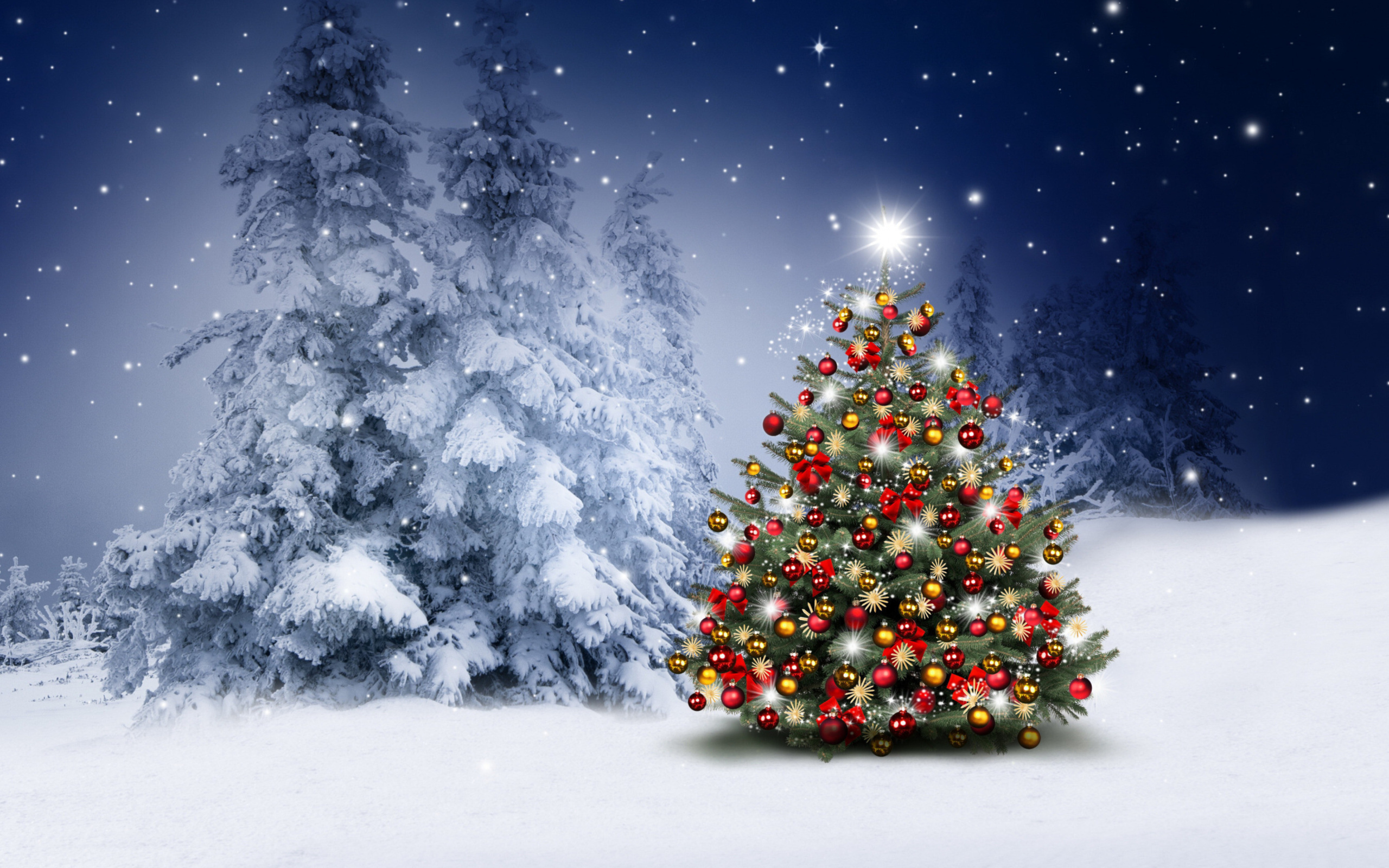 Winter Christmas tree wallpaper 2560x1600